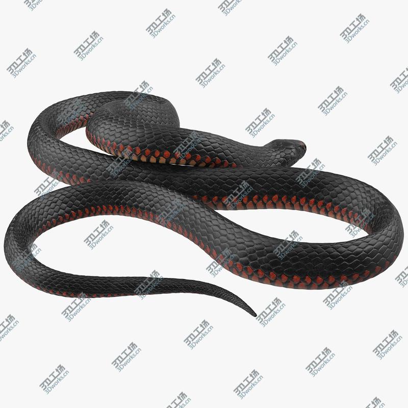 images/goods_img/202104092/Desert Black King Snake Rigged for Cinema 4D 3D model/1.jpg